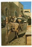 AK 047433 PALESTINE - Bethlehem - Palestine