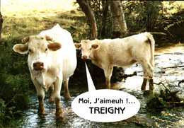 Treigny Gué De Perchin Syndicat D'initiative De Trigny Perreuse      CPM Ou CPSM - Treigny