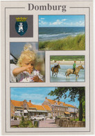 Domburg - (Zeeland, Nederland / Holland) - DOG 10 - Paarden, PEUGEOT 504 BREAK - Domburg