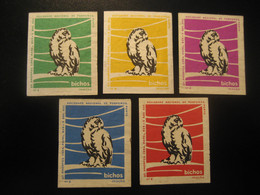 PORTO Mocho Owl Owls Hibou Bird Birds Oiseaux 5 Poster Stamp Vignette PORTUGAL Label - Uilen