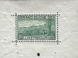 Luxembourg - Luxemburg - Timbre  Bloc1  1923  BF 1I   VC. 2000,-  MNH** - Blokken & Velletjes