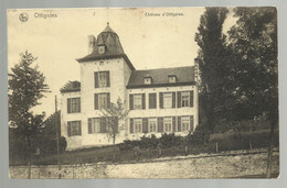 ***  OTTIGNIES  ***  -  Château D'Ottignies  -  Zie / Voir Scan's - Ottignies-Louvain-la-Neuve