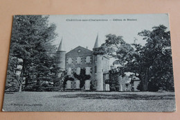 Chatillon Sur Chalaronne - Chateau De Bissieux - Châtillon-sur-Chalaronne