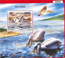 A0960 MALDIVES - ERROR  MISPERF SHEET - 2014  BIRDS PELICANS ПТИЦЫ ПЕЛИКАНЫ - Pelicans