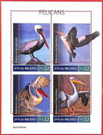 A4030 - MALDIVES - ERROR MISPERF, Miniature Sheet: 2019, Pelicans, Birds - Pelicans