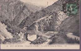 CPA -ALGÉRIE - ENVIRON DE  BLIDA - GORGES DE LA CHIFFA - VUE PRISE DU CAMP DES CHENES - Blida