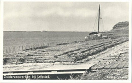 Lelystad, Zuiderzeewerken Bij Lelystad, Kraagstukken - Lelystad