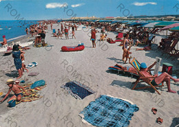 CARTOLINA  FREGENE,FIUMICINO,ROMA,LAZIO,SPIAGGIA,MARE,ESTATE,SOLE,VACANZA,BARCHE A VELA,BELLA ITALIA,NON VIAGGIATA - Fiumicino