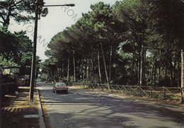 CARTOLINA  FREGENE,FIUMICINO,ROMA,LAZIO,VIALE CASTELLAMMARE,ESTATE,VACANZA,BARCHE A VELA,BELLA ITALIA,VIAGGIATA 1985 - Fiumicino