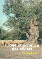 Culture Et Entretien Des Oliviers "Le Nouvel Olivier" - C. Groenteplanten & Groenten