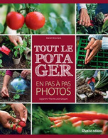 Tout Le Potager En Pas à Pas Photos : Légumes Plantes Aromatiques - C. Groenteplanten & Groenten