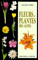 Fleurs Et Plantes Des Alpes - C. Vegetable Plants & Vegetables