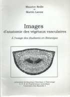 IMAGES D'anatomie Des Végétaux Vasculaires à L'usage Des étudiants En Botanique - C. Vegetable Plants & Vegetables