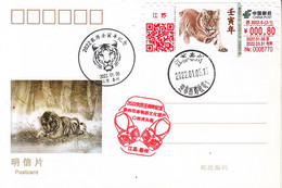 China 2022 China Jiangsu New Year Zodiac Of Tiger Label ATM Stamps Postal Cards C - Big Cats (cats Of Prey)
