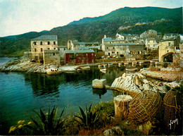 Centuri * Le Port De Pêche à La Pointe Ouest Du Cap Corse * Haute Corse 2B - Autres & Non Classés