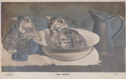 Tub Night Antique Cat Raised Bowl 3d Effect Old Washing Cats Postcard - Cats