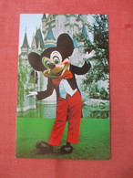 Disneyworld      Welcome To The Magic Kingdom.  Mickey Mouse.    Ref 5580 - Disneyworld