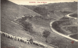 Carte POSTALE  Ancienne De  POISSONS - Côtes De MELAIRE - Poissons