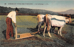 64-SCENES ET TYPES DES PYRENNEES- LE LABOURAGE - Autres & Non Classés