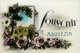 Mauvezin * Souvenir De La Commune * Carte Photo - Andere & Zonder Classificatie