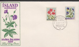 1958. ISLAND. Flowers Set On FDC HAFNARFJÖRDUR 8.VII. 1958. Unusual With FDC Outside Reyk... (Michel 323-324) - JF518922 - Briefe U. Dokumente