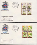 1960. ISLAND. FLOWER Set IN 4- BLOCKS On FDC HAFNARFJÖRDUR 29. XI. 1960. Unusual With FDC... (Michel 345-346) - JF518935 - Brieven En Documenten