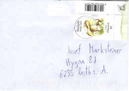 Brief Von 9020 Klagenfurt Mit 85 Cent Steinpilz Eckrandstück 2022 - Storia Postale