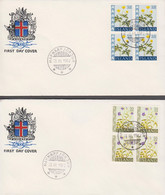 1962. ISLAND. FLOWER Set IN 4- BLOCKS On FDC HAFNARFJÖRDUR 23. Iii. 1962. Unusual With FD... (Michel 359-360) - JF518944 - Brieven En Documenten