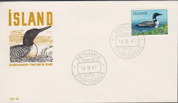 1967. ISLAND. FAUNA 20 KR On FDC. (Michel 408) - JF518948 - Cartas & Documentos