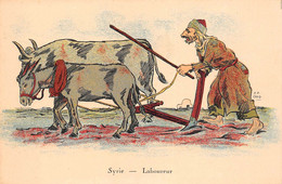 ¤¤   -   SYRIE   -  Illustrateur " J.P. GOD "  -   Le Laboureur   -   Petits Métiers     -   ¤¤ - Syrie