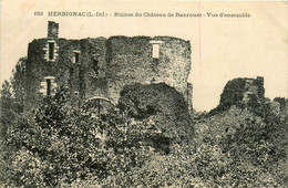 Herbignac * Les Ruines Du Château De Ranrouet * Vue D'ensemble - Herbignac