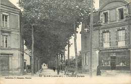 Blain * Avenue Sortais * La Pharmacie CHAIGNON * Attelage - Blain