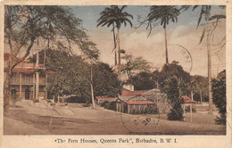 AMERIQUE   -   ANTILLES  -  BARBADES  -  The Fern Houses, Queens Park , Barbados, B.W.I. - Barbades