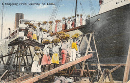 AMERIQUE   -   ANTILLES  -  SAINTE-LUCIE   -   Shipping Fruit , Castries  -  Bananes - Santa Lucía