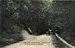 La Montagne * Arrivée De La Route D'indret * Le Chemin Et La Route Tournante - La Montagne