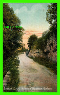 HAMILTON, ONTARIO - BECKET DRIVE, HAMILTON MOUNTAIN - TRAVEL IN 1908 - PUB. BY JOHN B. GAY - W. G. MACFARLANE, PUB. -= - Hamilton