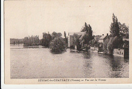 LUSSAC-les-CHATEAUX. - Vue Sur La Vienne - Lussac Les Chateaux