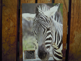 OCB Nr 4345 Fauna Zebra Zoo    Carte Maximum - 2011-..