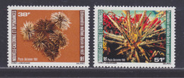 NOUVELLE CALEDONIE AERIENS N°  215 & 216 ** MNH Neufs Sans Charnière (D7943) Faune Pélagique, Oursins - 1981 - Unused Stamps