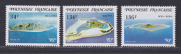 POLYNESIE N°  171 à 173 ** MNH Neufs Sans Charnière, TB (D7950) Iles Sous Le Vent - 1981 - Nuovi