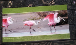 Costa Rica Postcard Garzas Espatulas Rosadas Scarce - Flamants