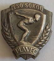 TSO SOKOL PLAVEC Czech Republic Swimming Broken Needle   PIN A6/1 - Swimming