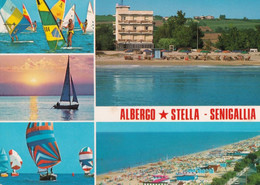 Senigallia - Albergo Stella - Formato Grande Viaggiata – FE390 - Senigallia