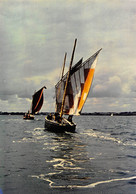 Delcampe - CPM - Les "Sinagots" Pirates Du Golfe Du Morbihan - Segelboote