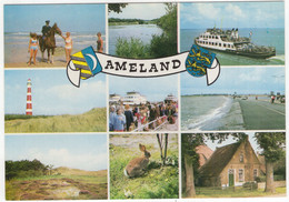 Ameland - (Wadden, Nederland / Holland) - O.a. Politieagent Ter Paard, Vuurtoren, Veerboot - L 795 - Ameland