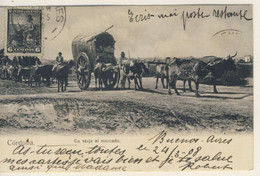 Cordoba - The Way To The Market - Traveled On 24 March 1908 (2 Images) - Argentinië
