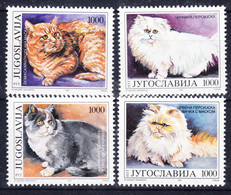 Yugoslavia 1992 Animals Cats Mi#2544-2547 Mint Never Hinged - Neufs