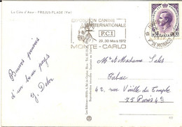 3I6 --- Monaco MONTE CARLO Exposition 1972 Thème Chien - Franking Machines (EMA)