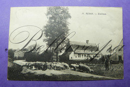 Ronse Schaapherder Berger -Hoeve Uitg. A.De Bo - Renaix - Ronse