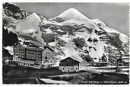 SUISSE - Kleine Scheidegg U. Silberhorner - Horn